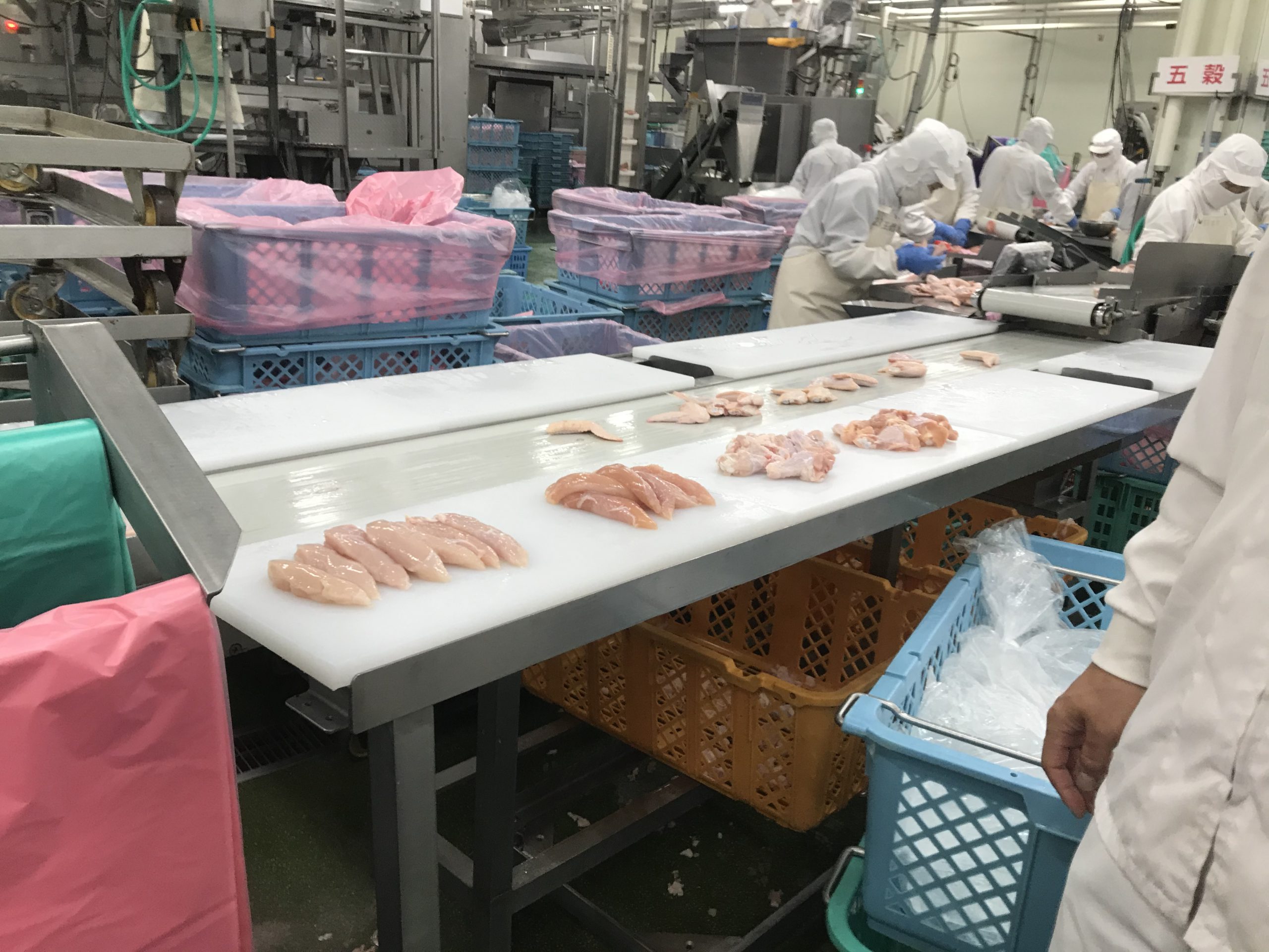 プライフーズ株式会社 細谷工場(ブロイラー鶏肉の加工製造員(懸鳥作業))