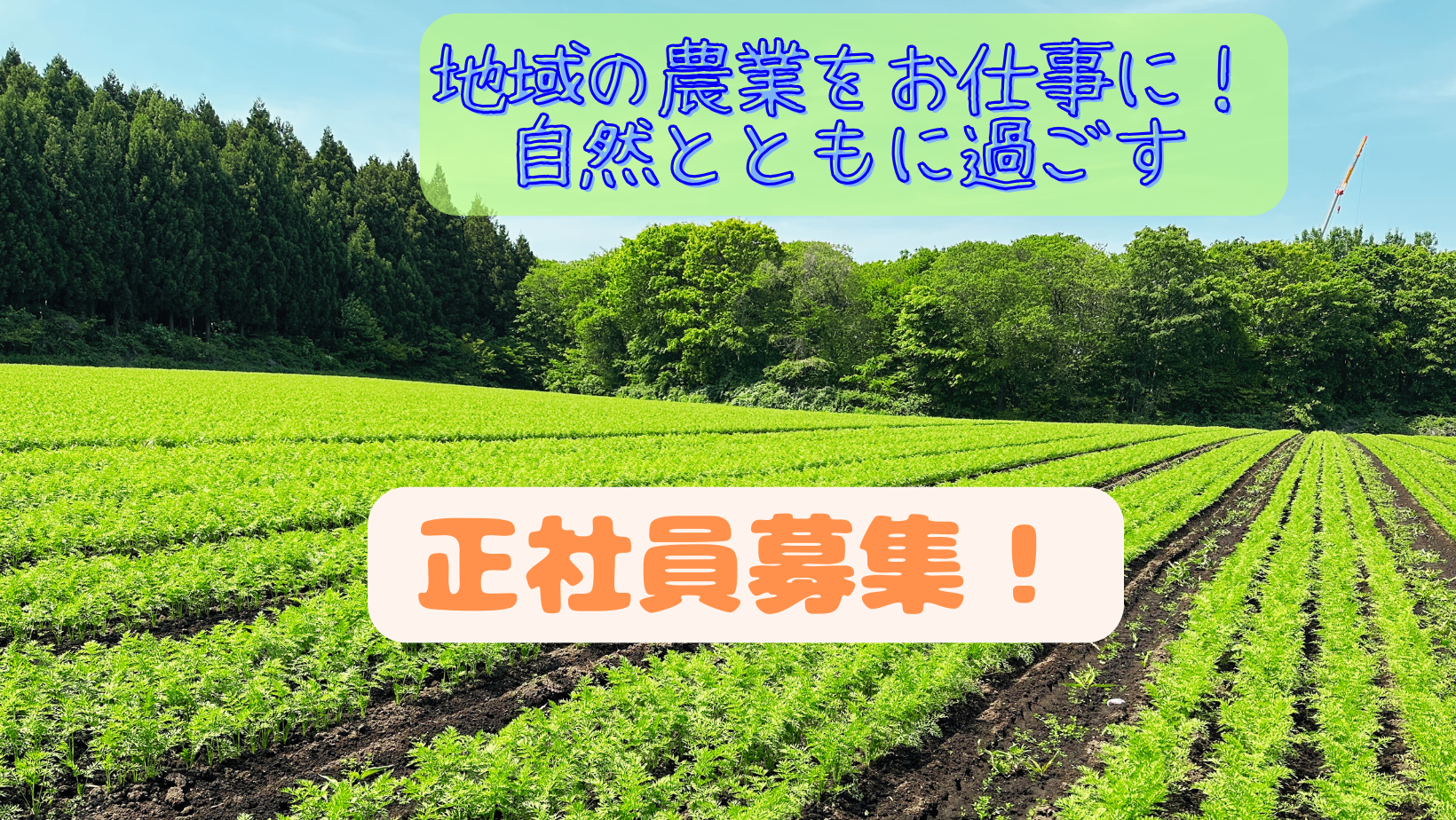 株式会社　川長（総合職）