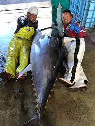 有限会社　加糠漁業部（乗組員漁師）