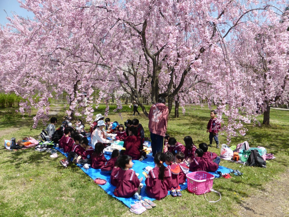 社会福祉法人　すみれ会　弘前すみれ保育園（保育教諭）