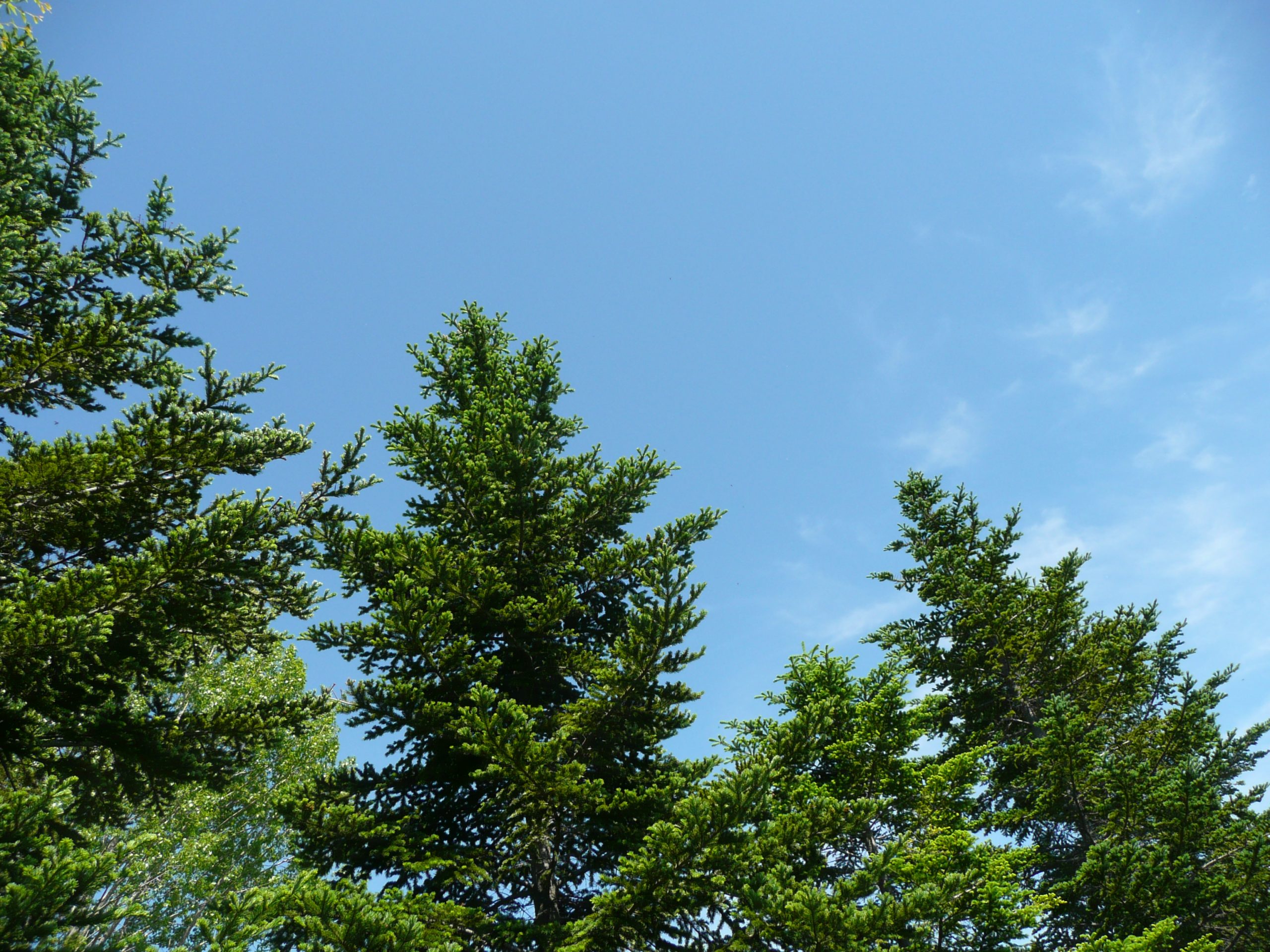 社会福祉法人　浪岡あすなろ会りんどう苑（支援スタッフ）年齢制限あり